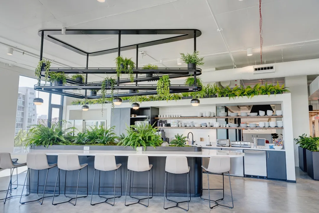 Phòng bếp theo phong cách Biophilic