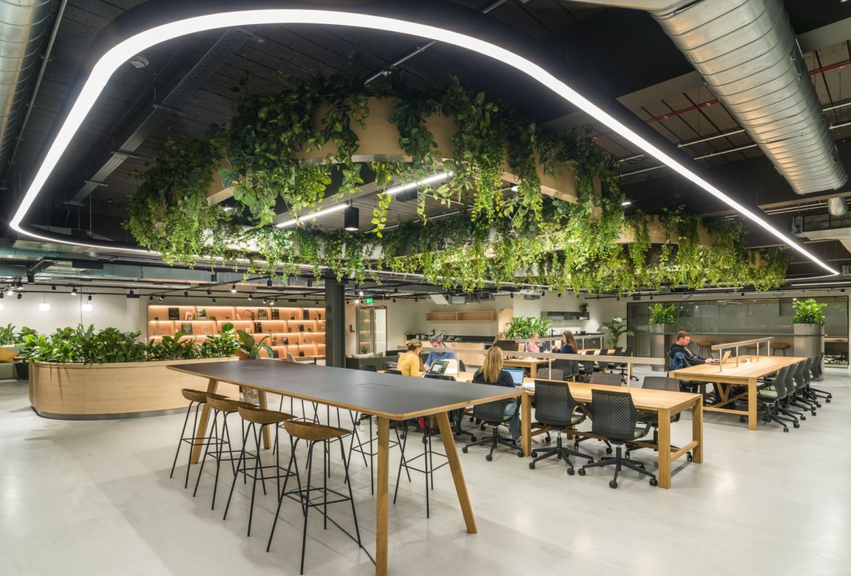 Thiết kế văn phòng Biophilic